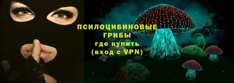 где купить наркоту  OMG ссылка  Галлюциногенные грибы Magic Shrooms  Тольятти 